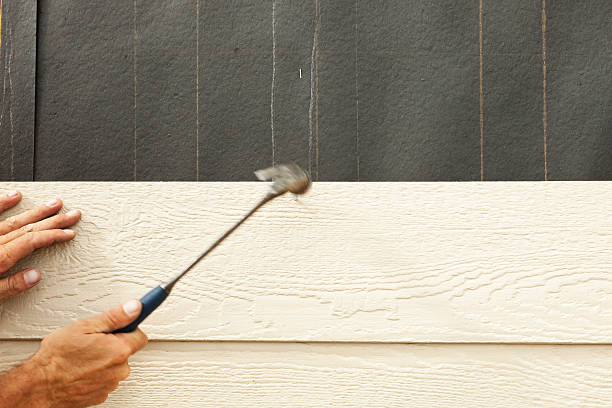 Best Stucco Siding  in Bridge City, TX